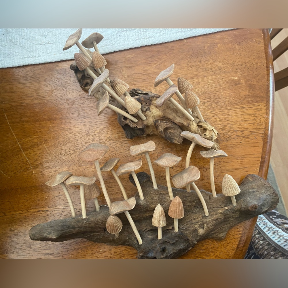 🍄 🍄‍🟫 Wooden hand carved  mushroom room wall decorations set🍄‍🟫 🍄